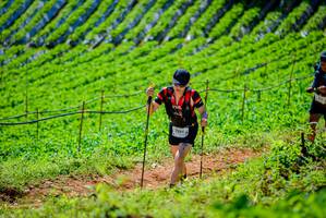 BIB: 2264
                            <button type="button" onclick="openModal(19163248)" class="btn btn-primary btn-sm float-right btn-popup" data-toggle="modal" data-target=".modal-high-quality">
                        <i class="fas fa-shopping-cart"></i> Add to Cart
                    </button>
                                            <button type="button" onclick="isThisMe(19163248, true)" class="btn btn-success btn-sm float-right btn-popup btn-isme hidden" data-toggle="tooltip" data-placement="bottom" title="นี่คือรูปของคุณใช่ไหม คลิกที่นี่เพื่อเอาเข้าอัลบั้ม">
                        <i class="fas fa-plus"></i> Add to album
                    </button>
                    <button type="button" onclick="isThisMe(19163248, false)" class="btn btn-warning btn-sm float-right btn-popup btn-isnotme hidden">
                        <i class="fas fa-ban"></i> Remove from album
                    </button>